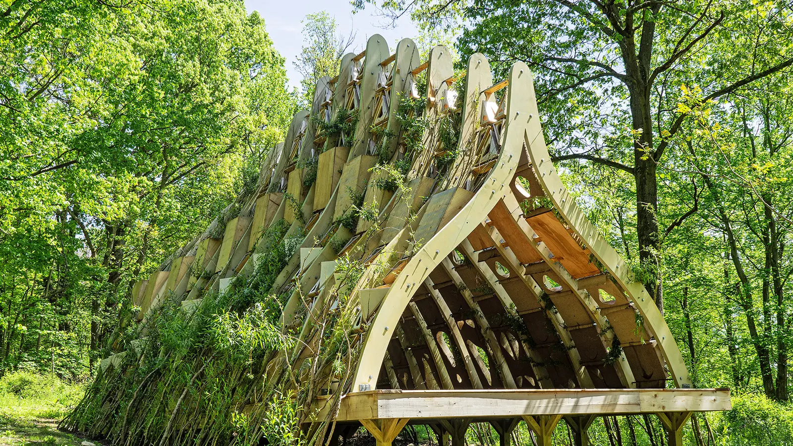 Arhitectură sustenabilă, clădire ecologică