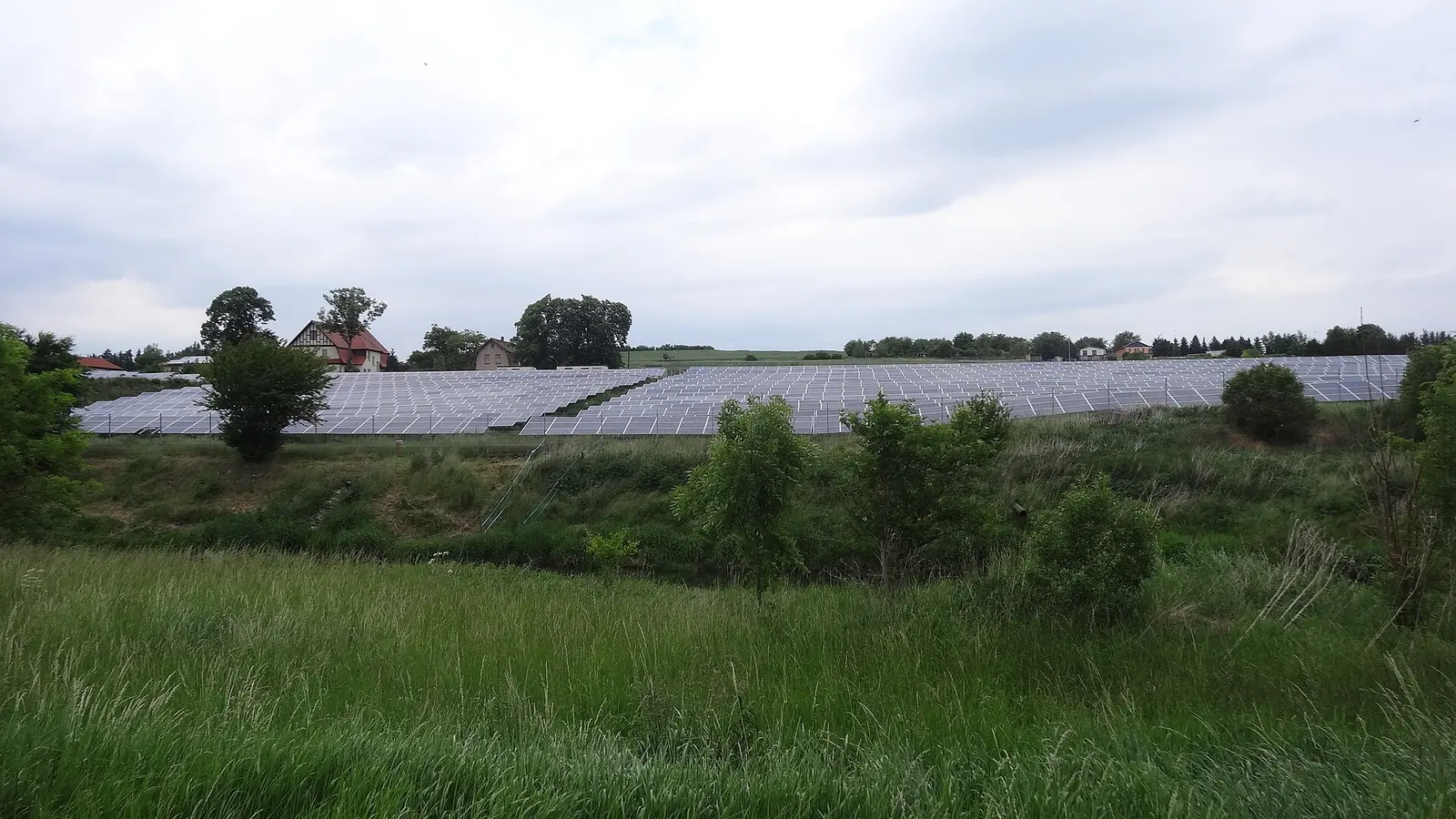 Parc fotovoltaic la scară mare, cu rânduri de panouri solare sub cer senin